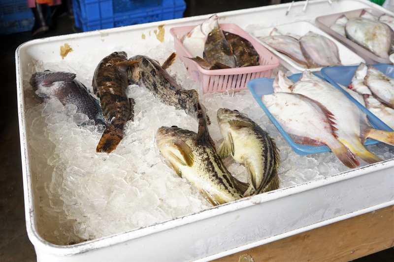 浜益ふるさと市場　新鮮な魚たち