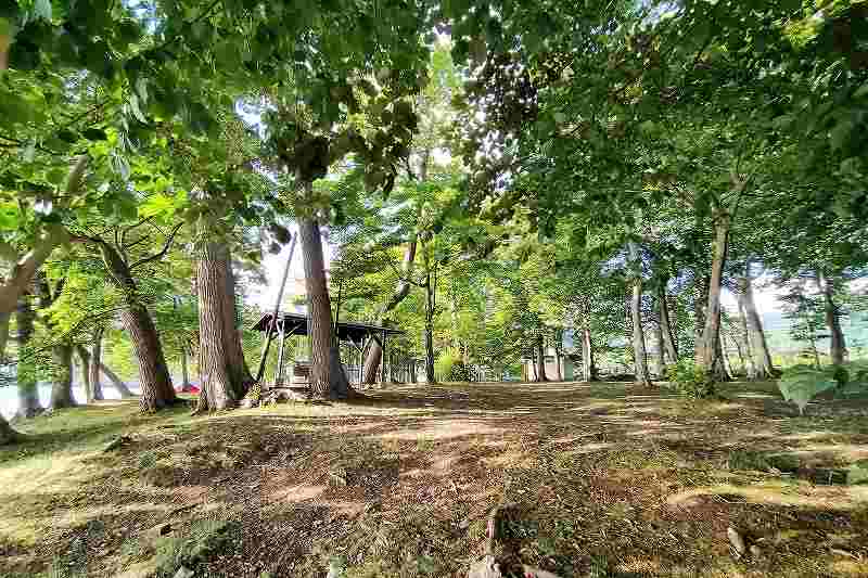 仲洞爺キャンプ場の林間サイト