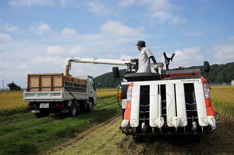 清水農園　コンバインからトラックに米を移す様子
