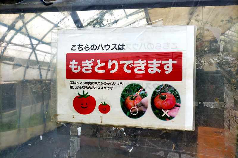 トマトのハウス入口に収穫期の案内が貼られている