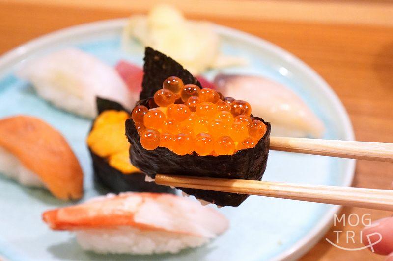 札幌すすきの「鮨処いちい」のいくらのお寿司を箸で持ち上げている様子